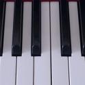 an octave of piano keys