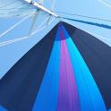 spinnaker low angle view