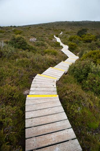 Highland trail with an empty narrow wooden boardwalk meandering across the hilltop into the distance amongst low shrubs of alpine vegetation